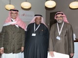  معرض البحرين الدولي للطيران 2014